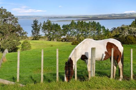 Photo of property in 137 Shelly Beach Road, Shelly Beach, Helensville, 0874