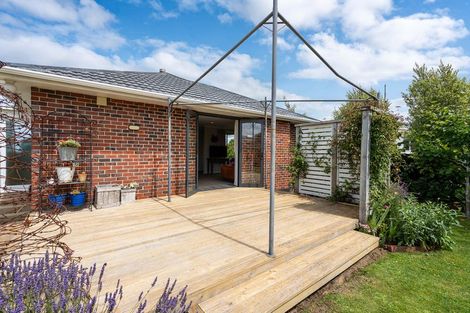 Photo of property in 19 Salmond Street, Halfway Bush, Dunedin, 9010