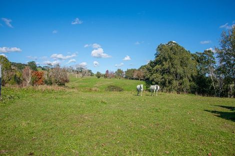 Photo of property in 174 Stoney Creek Road, Kaukapakapa, 0873
