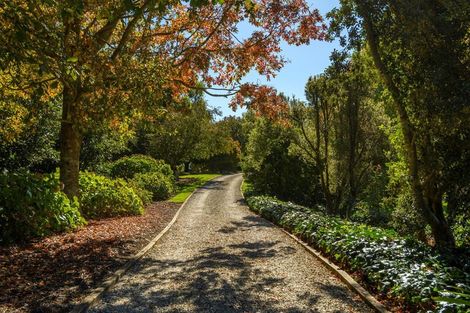 Photo of property in 59d Western Avenue, Omokoroa, 3114