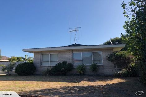 Photo of property in 9a Waitui Grove, Mount Maunganui, 3116