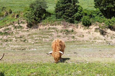 Photo of property in 124 Tunakino Valley, Rai Valley, 7194