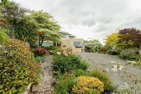 Photo of property in 22a Stour Street, Oamaru, 9400
