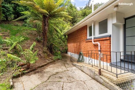 Photo of property in 41 Montague Street, North East Valley, Dunedin, 9010