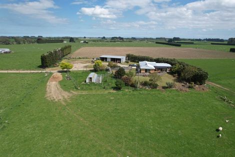 Photo of property in 653 Grove Bush Woodlands Road, Grove Bush, Invercargill, 9872