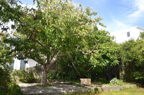 Photo of property in 30 Thompson Street, Mount Cook, Wellington, 6011