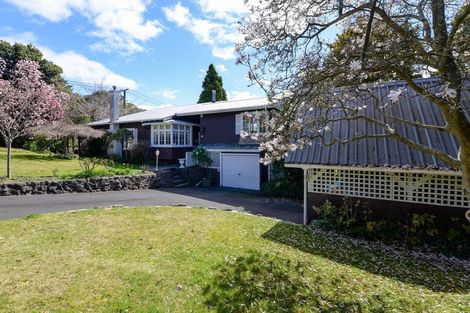 Photo of property in 17 Sophia Street, Glenholme, Rotorua, 3010