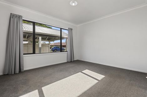 Photo of property in 390 Ruahine Street, Terrace End, Palmerston North, 4410