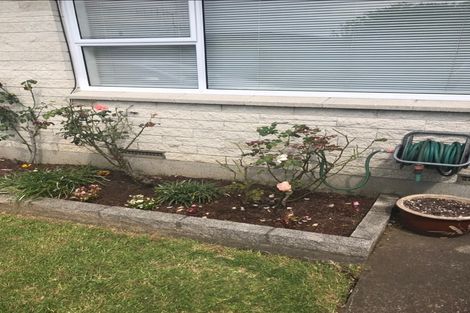 Photo of property in 466b Otumoetai Road, Otumoetai, Tauranga, 3110