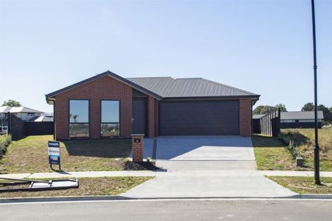 Photo of property in 11 Lewis Way, Cambridge, 3434