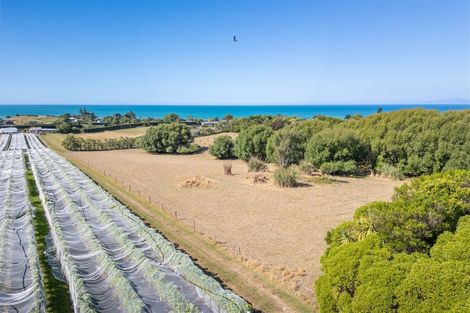 Photo of property in 50 Cliff Road, Tasman, Upper Moutere, 7173