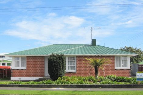 Photo of property in 7 Bartholomew Road, Levin, 5510
