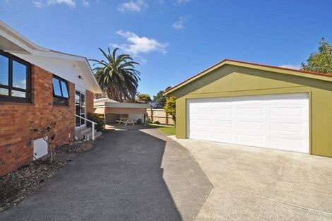 Photo of property in 9 Thames Place, Pukekohe, 2120