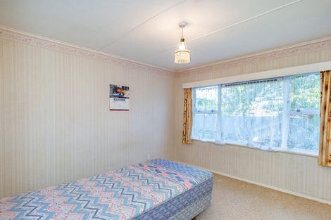 Photo of property in 47 Duke Street, Levin, 5510