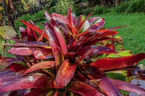 Photo of property in 299 Titirangi Road, Titirangi, Auckland, 0604