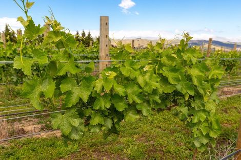 Photo of property in 249 New Renwick Road, Burleigh, Blenheim, 7272