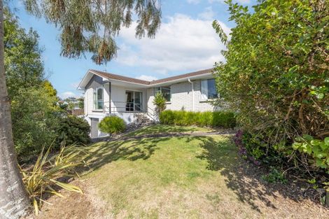 Photo of property in 12 Waipapa Road, Turangi, 3334