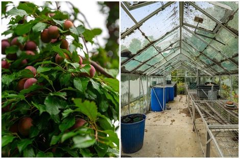 Photo of property in 22b Ngati Maru Sh25 Highway, Kopu, Thames, 3578