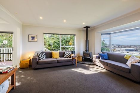 Photo of property in 13 Forfar Street, Clyde Hill, Dunedin, 9011