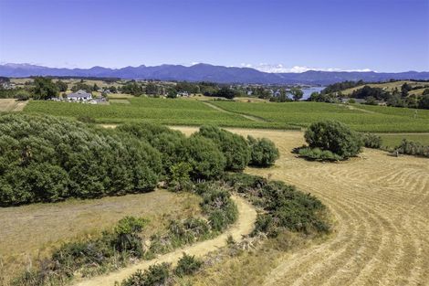 Photo of property in 50 Cliff Road, Tasman, Upper Moutere, 7173