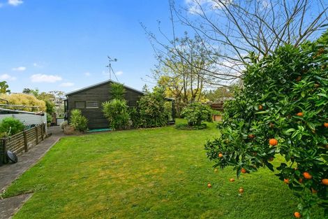 Photo of property in 24 Lindale Street, Morrinsville, 3300