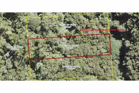 Photo of property in 13 Waikarekare Lane, Karekare, Auckland, 0772