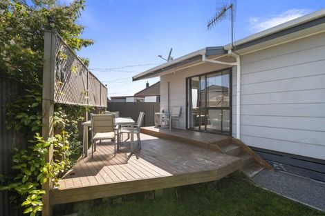 Photo of property in 22b Manchester Street, Takaro, Palmerston North, 4412