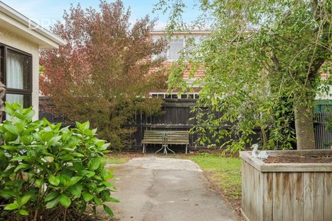 Photo of property in 217a Musselburgh Rise, Andersons Bay, Dunedin, 9013