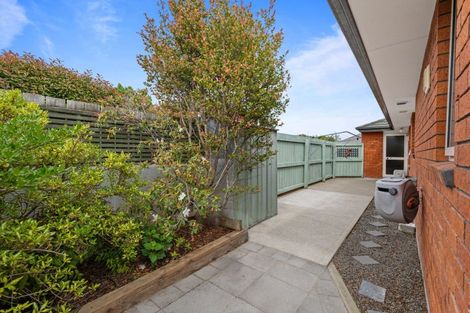 Photo of property in 25 Hope Drive, Witherlea, Blenheim, 7201