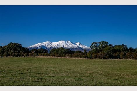 Photo of property in 164 Matapuna Road, Horopito, Raetihi, 4696