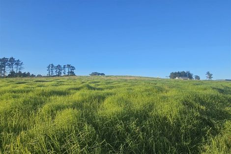 Photo of property in 47 Matahehe Lane, Tinopai, 0593