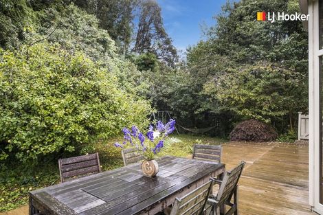 Photo of property in 56 Maori Road, Dunedin Central, Dunedin, 9016