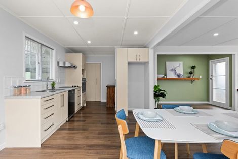 Photo of property in 99a Kenilworth Road, Mayfair, Hastings, 4122