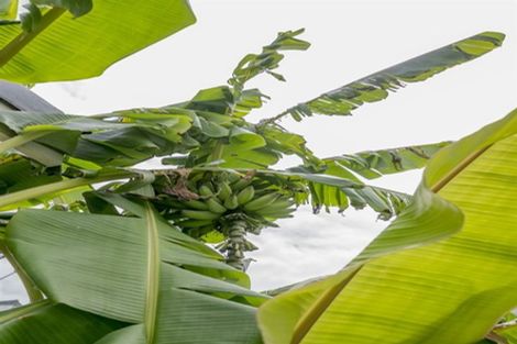 Photo of property in 15 The Avenue, Otaki Beach, Otaki, 5512