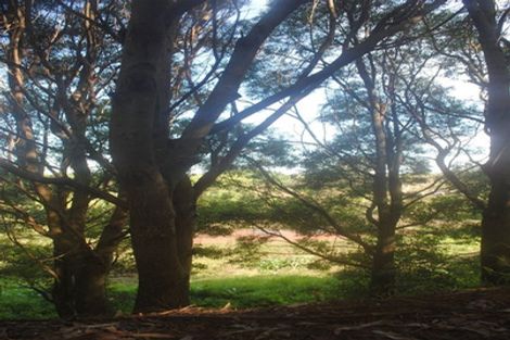 Photo of property in 751b Runciman Road, Runciman, Drury, 2578