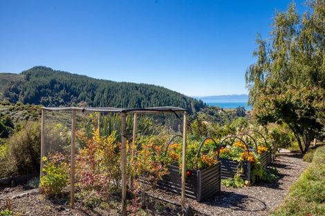 Photo of property in 177 Riwaka-sandy Bay Road, Riwaka, Motueka, 7197