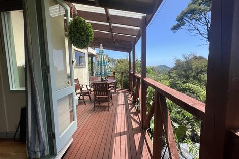 Photo of property in 800 Buffalo Road, Coromandel, 3506
