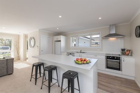 Photo of property in 3 Berryfield Drive, Richmond, 7020