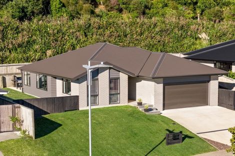 Photo of property in 29 Pakanga Grove, Pyes Pa, Tauranga, 3112