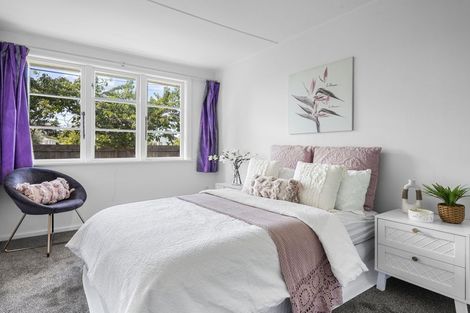 Photo of property in 43 Joy Street, Shirley, Christchurch, 8061