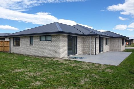 Photo of property in 7 Clare Street, Woodend, 7610