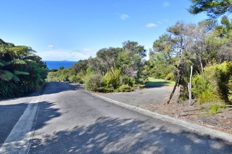 Photo of property in 180 Pumpkin Hill Road, Pumpkin Hill, Whitianga, 3591