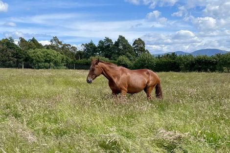 Photo of property in 71 Terrace Road, Cust, Rangiora, 7471