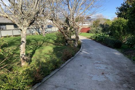 Photo of property in 38 Kawiu Road, Levin, 5510