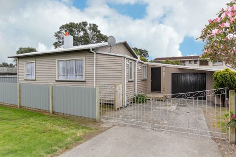Photo of property in 98 Centennial Avenue, Waitara, 4320