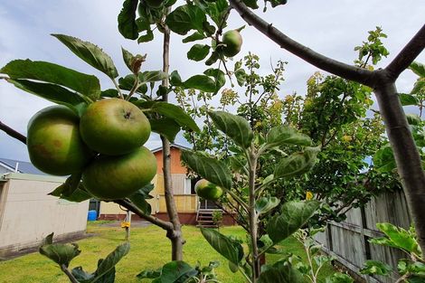 Photo of property in 52 Wallace Place, Westown, New Plymouth, 4310