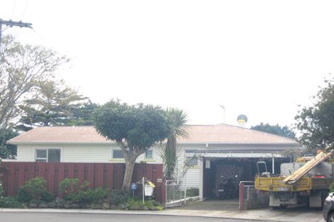 Photo of property in 62 Essex Street, Vogeltown, New Plymouth, 4310