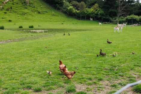 Photo of property in 1195c Pohangina Road, Pohangina, Ashhurst, 4884