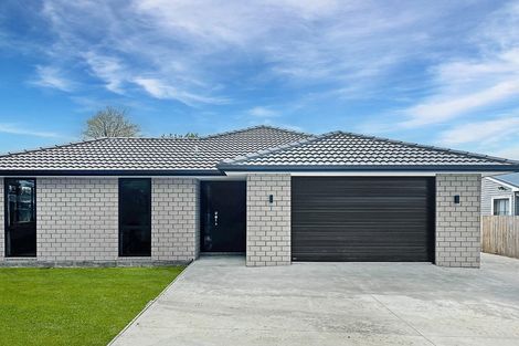 Photo of property in 21 Goodwin Street, Tirau, 3410