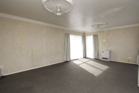 Photo of property in 509 Featherston Street, Roslyn, Palmerston North, 4414